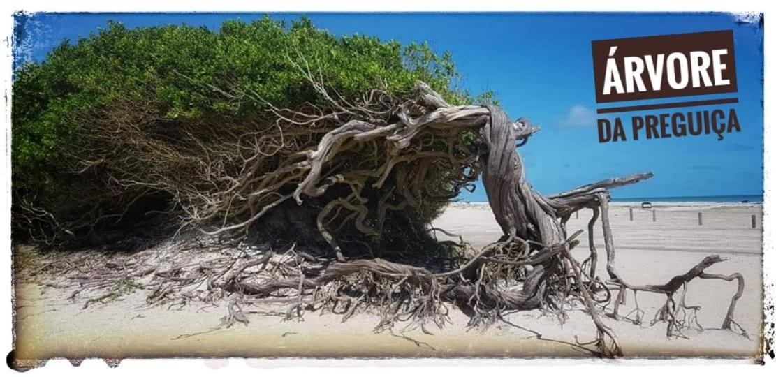 Vila Casa A 3 Minutos Do Aeroporto De Jericoacoara Exteriér fotografie
